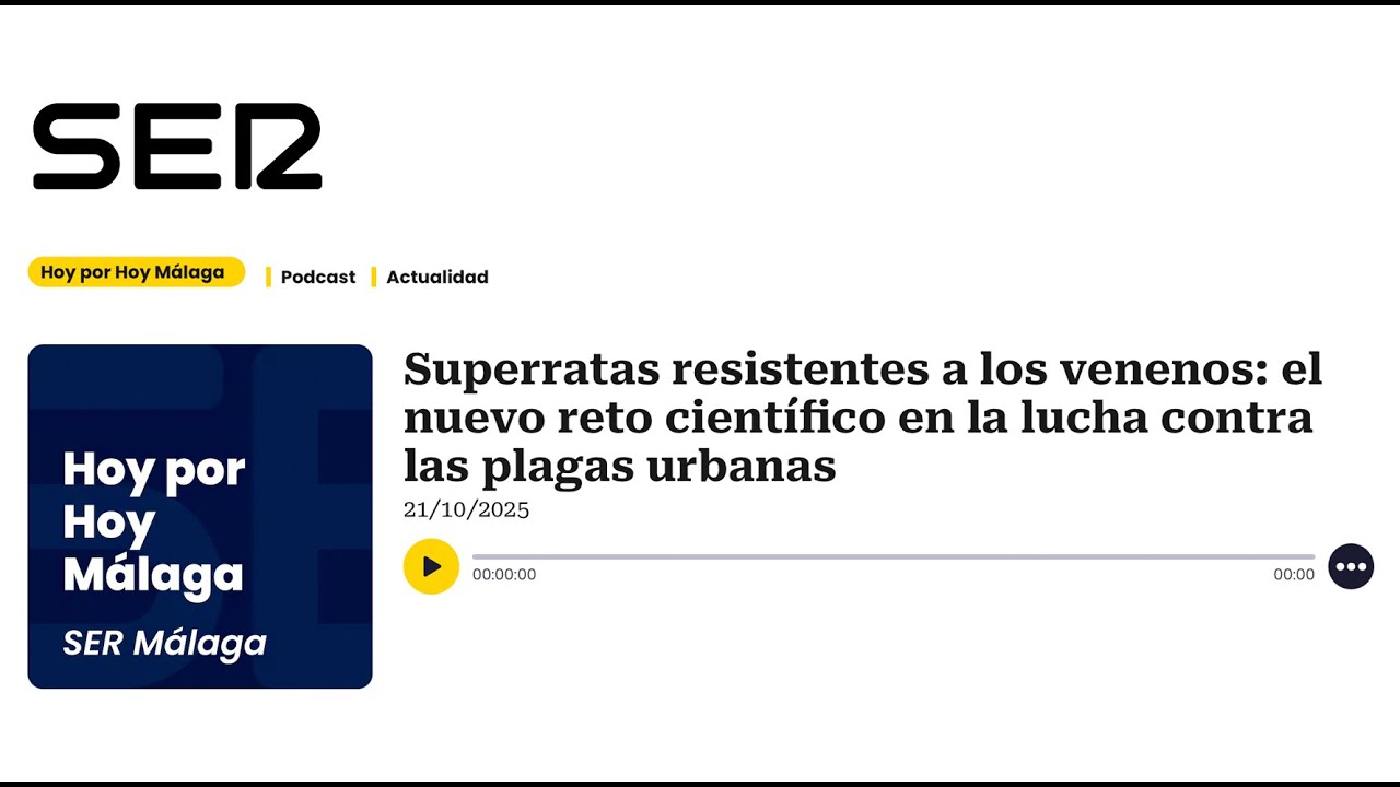 Superratas resistentes a los venenos: el nuevo reto científico en la lucha contra las plagas urbanas