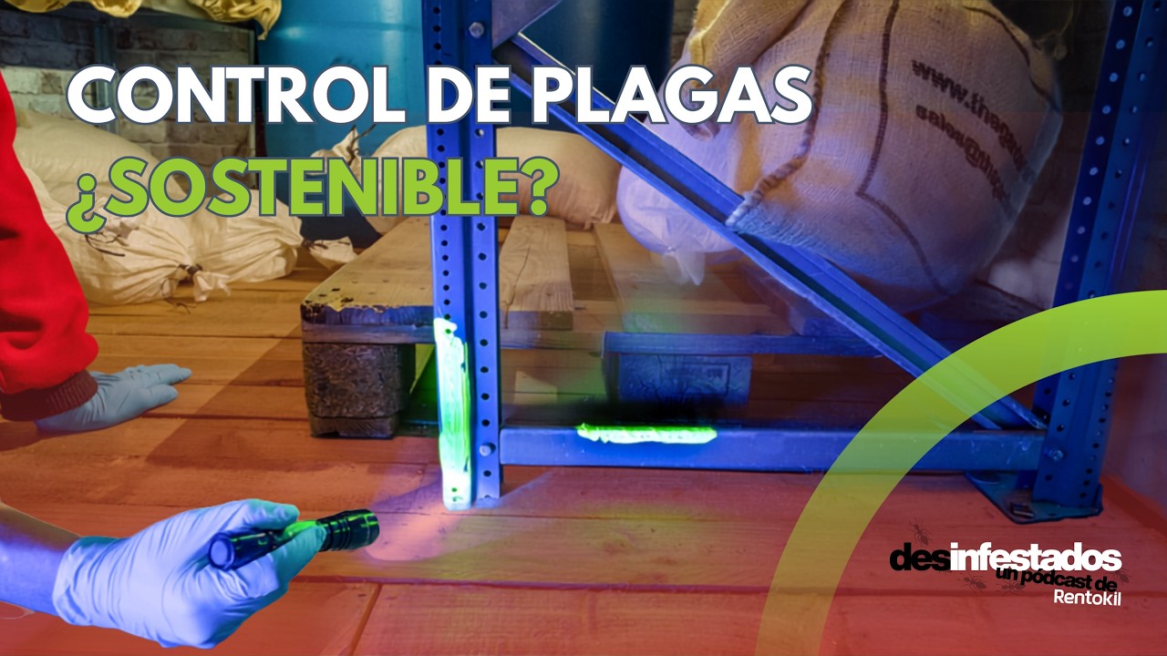 ¿Puede el CONTROL DE PLAGAS ser 100 % sostenible? 🌱 | Desinfestados Ep. 2 | Rentokil España