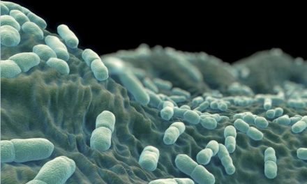 Ponencia: Listeria y Biofilms, un gran reto para la industria alimentaria.