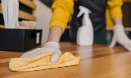 Limpieza especializada y sus beneficios.