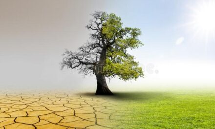 Los efectos del cambio climático en la limpieza profesional y cómo adaptarse a los nuevos desafíos.