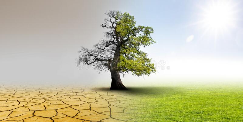 Cambio climático