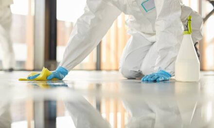 Cómo elegir la empresa de limpieza profesional adecuada para tu negocio o hogar.