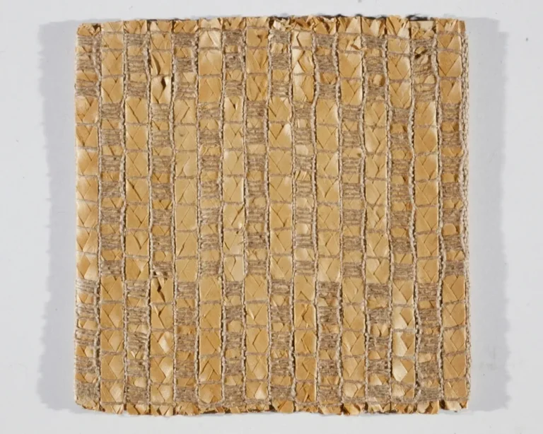 Fibras textiles de algodón