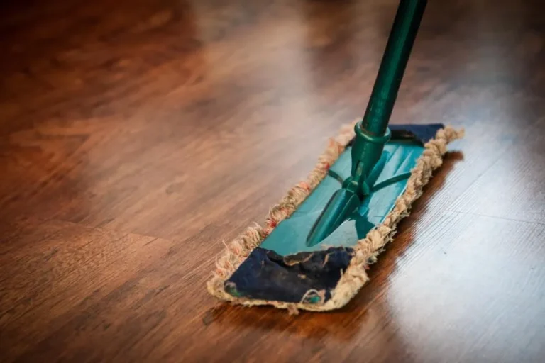 Fregona sobre un suelo de madera