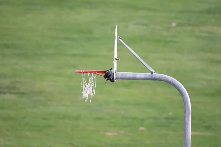 Canasta de baloncesto al aire libre