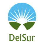 Logotipo de Grupo DelSur