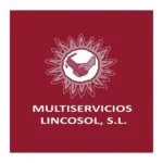 Logotipo de Multiservicios Lincosol