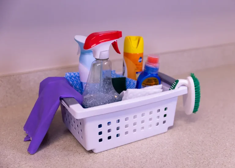 Cesta con productos y útiles de limpieza