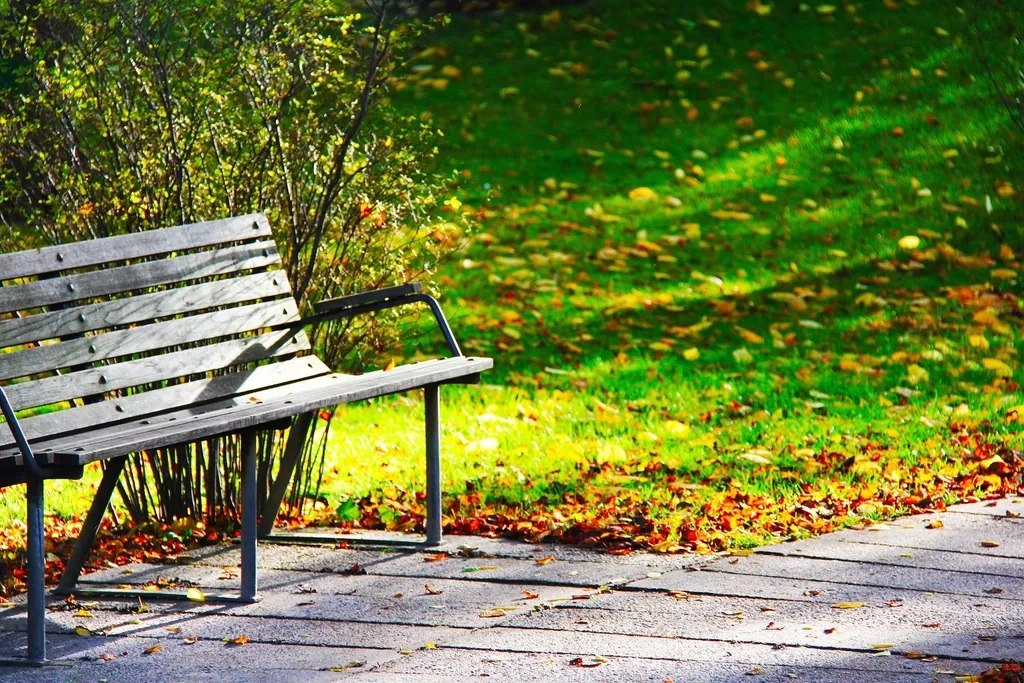 Banco de un parque cubierto de hojas en otoño