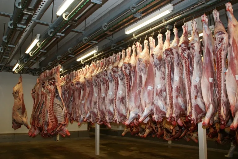 Cámara frigorífica de una industria cárnica