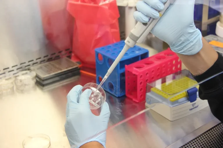 Técnica de laboratorio con guantes