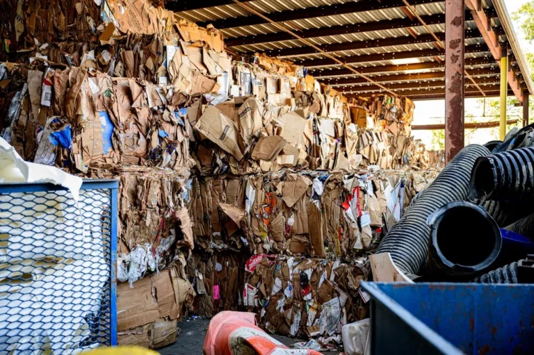 Planta de reciclaje de papel y cartón