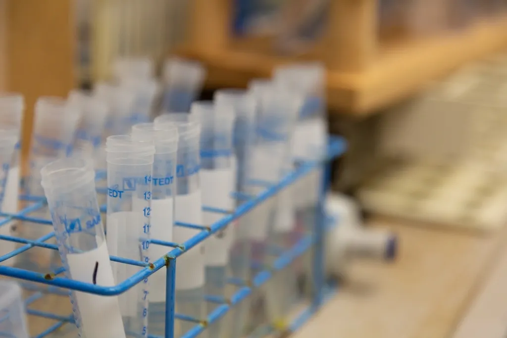 Frascos de laboratorio en filas