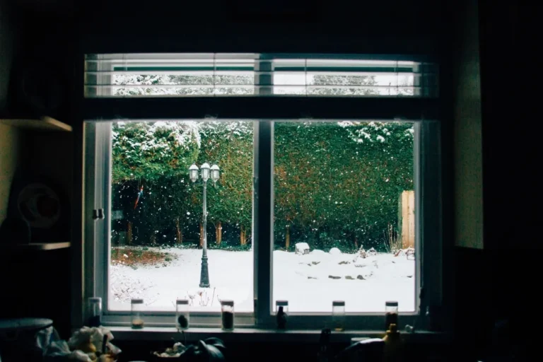 Ventana con vistas a un paisaje nevado