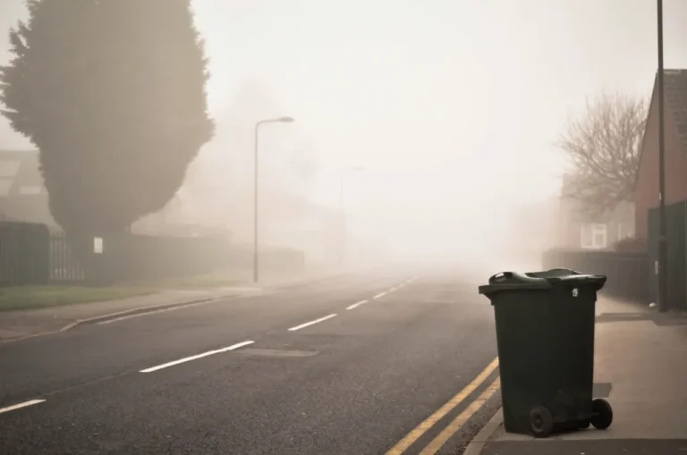 Contenedor de basura junto a una calle vacía en una mañana de niebla