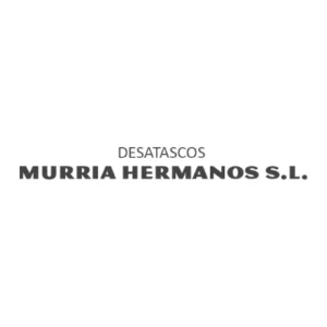 Logotipo de Desatascos Murria Hermanos