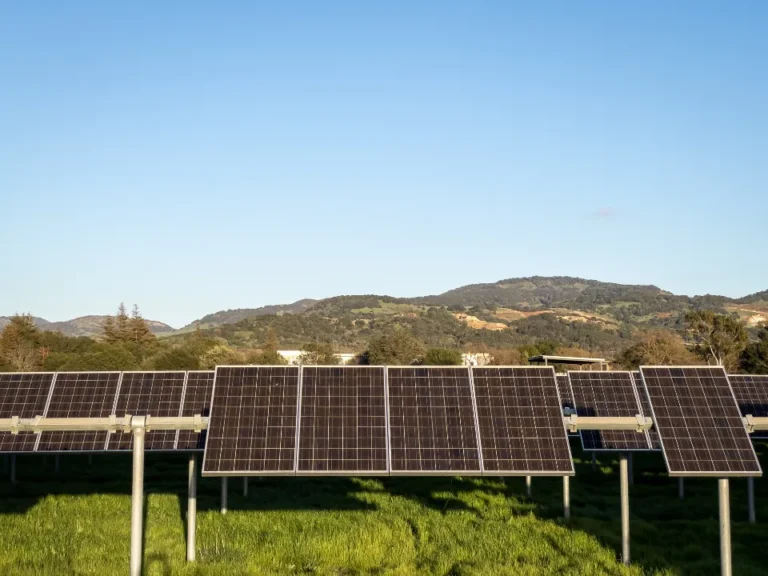 Paneles solares en una instalación al aire libre