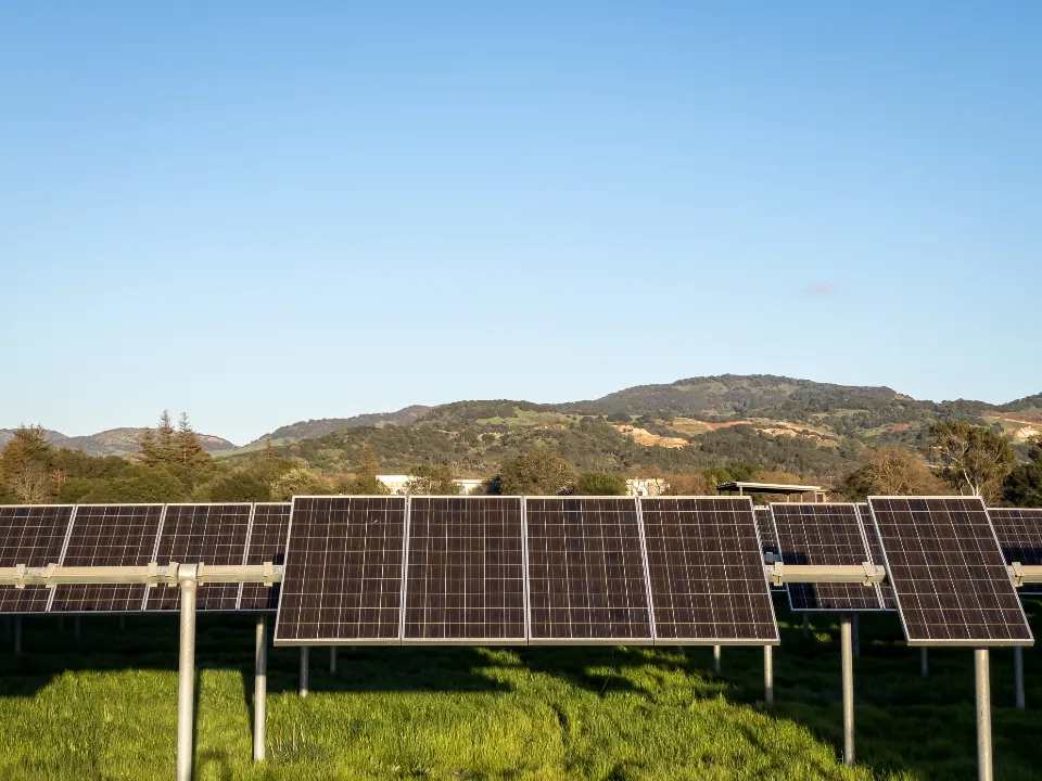Paneles solares en una instalación al aire libre