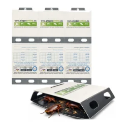 TRAMPA CAPTURA CUCARACHA ECO PACK 3 uds